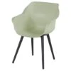 Sophie Studio Dining Armstoel French Green Carbon Black