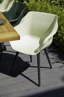 Sophie Studio Dining Armstoel French Green Carbon Black -Tuinmeubelen & Barbecue Winkel 21681849 11681849 21681847 11681847 53573108 S 5