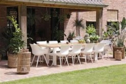 Sophie Studio Dining Armstoel Wit -Tuinmeubelen & Barbecue Winkel 21683003 11683003 21681003 11681003 53574003 S 1