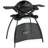 Weber Q 1200 Stand Gas Grill Zwart