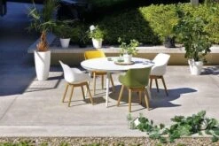 Sophie Organic Dining Armstoel Teak Curry Yellow -Tuinmeubelen & Barbecue Winkel 65130003 21694203 11694203 21694272 11694272 11694231 S 2