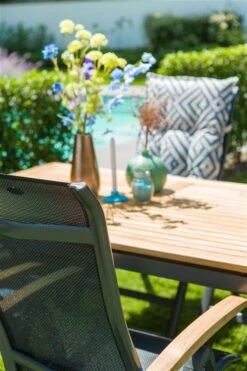 Hartman Sonate Tuintafel 160 Naturel Teak -Tuinmeubelen & Barbecue Winkel 65291010 65930210 14105823 S 1