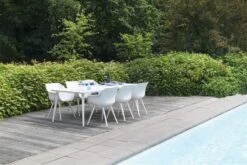 Sophie Studio Dining Armstoel Wit -Tuinmeubelen & Barbecue Winkel 65886003 11681003 21681003 S 1