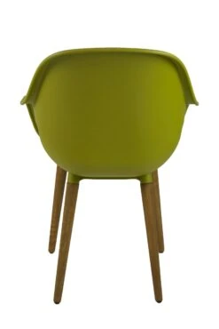 Lido Tuinset 6 Stoelen Paris Groen 13 Lido Tuinset 6 Stoelen Paris Groen -Tuinmeubelen & Barbecue Winkel Paris dining stoel groen J1832 3