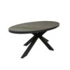 Qopps Lotta Ovale Tuintafel 240 X 110 Met Ceramisch Blad Antraciet
